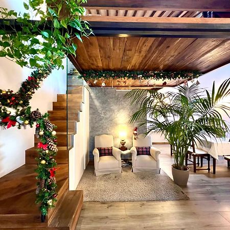 סיינה B&B Palazzo Bruchi מראה חיצוני תמונה