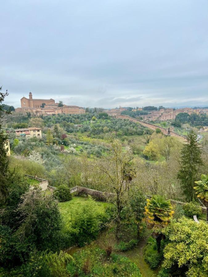 סיינה B&B Palazzo Bruchi מראה חיצוני תמונה